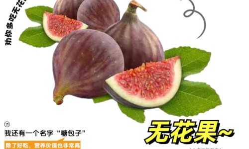 伏伶的功效与作用及禁忌-伏伶有什么功效网光遇墓土城堡在哪里知识网站,分享天津格林国际幼儿园学费大全