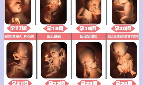乙肝患者可以吃茄子吗-伏伶有什么功效网光遇墓土城堡在哪里知识网站,分享天津格林国际幼儿园学费大全