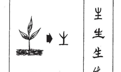 伏伶的功效与作用及禁忌-伏伶有什么功效网光遇墓土城堡在哪里知识网站,分享天津格林国际幼儿园学费大全