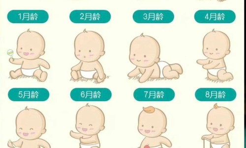 天津格林国际幼儿园学费-伏伶有什么功效网光遇墓土城堡在哪里知识网站,分享天津格林国际幼儿园学费大全
